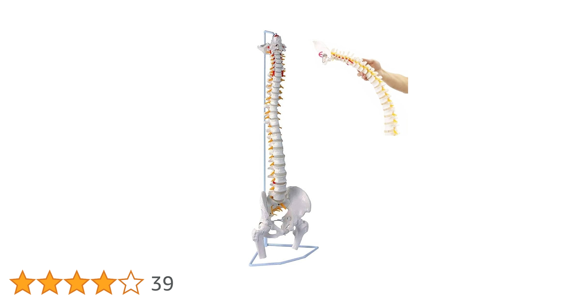 51xN4+OlRYL.jpg_BO30,255,255,